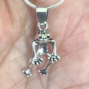 Silver Hanging Frog Necklace
